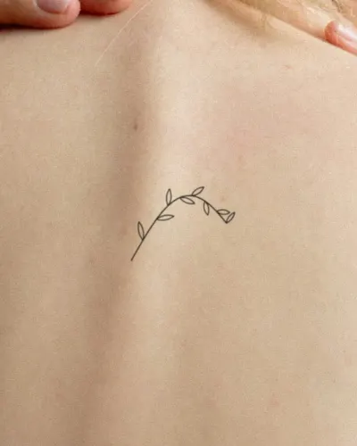 Olive branch tattoo on a back, preview