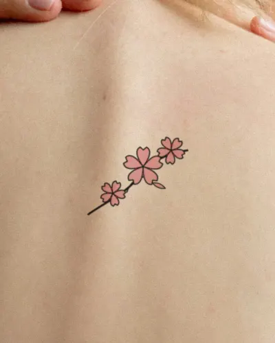 Cherry blossoms tattoo on a back, preview