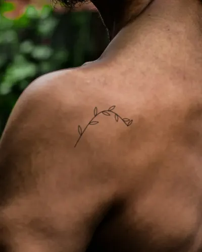 Olive branch tattoo on a shoulder, preview